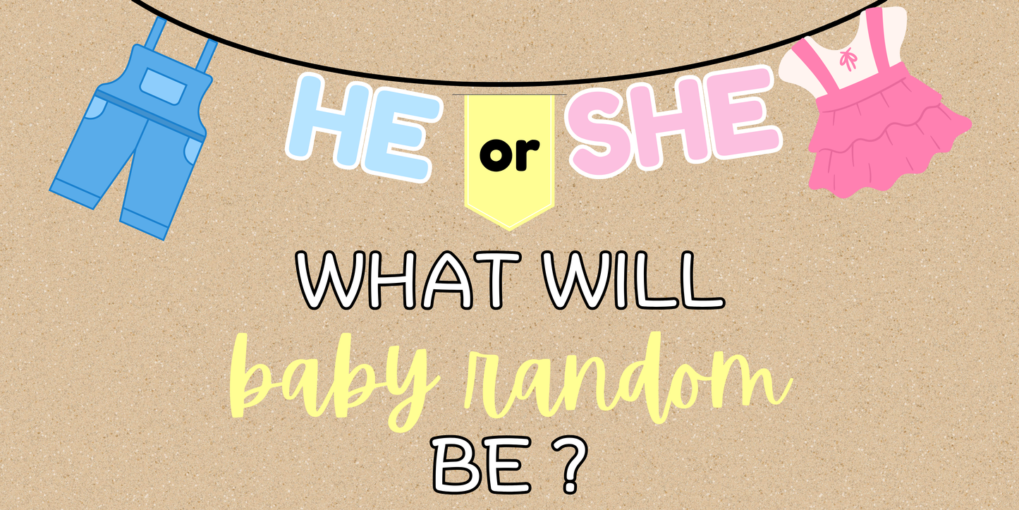 He or She Gender Reveal Banner